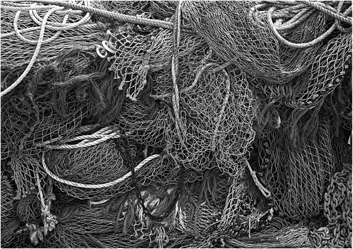 Fibre network - Harvey Perkins